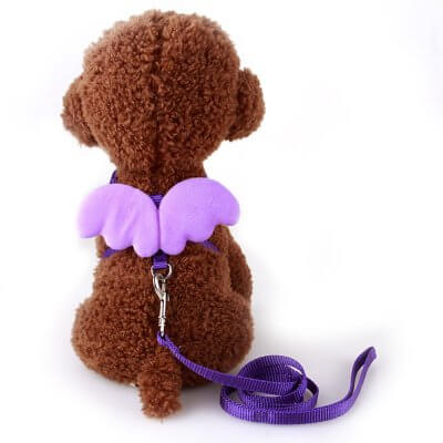 Шлейка для собак и кошек Angel с поводком, S фиолетовый-2