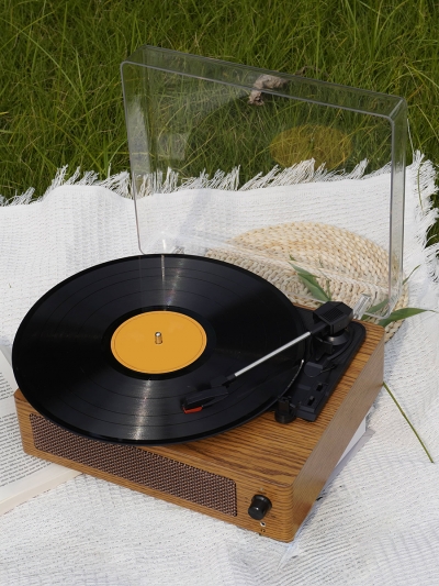 Виниловый проигрыватель, RetroTune Classic-6